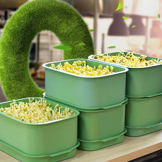 Pinottava Pavunversojen Kasvatuslaatikko