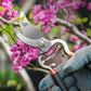🌿Gartenschere für die Gartenarbeit✂️