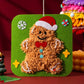 🎅🏼🎄 Weihnachts-Stick-Set zum Selbermachen 🎅🏼