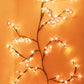 🎁Weinreben-Blumen-Atmosphärenlampe